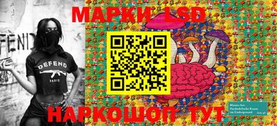 амф Кимры