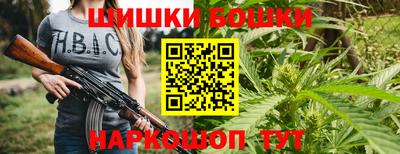 гашик Кинель
