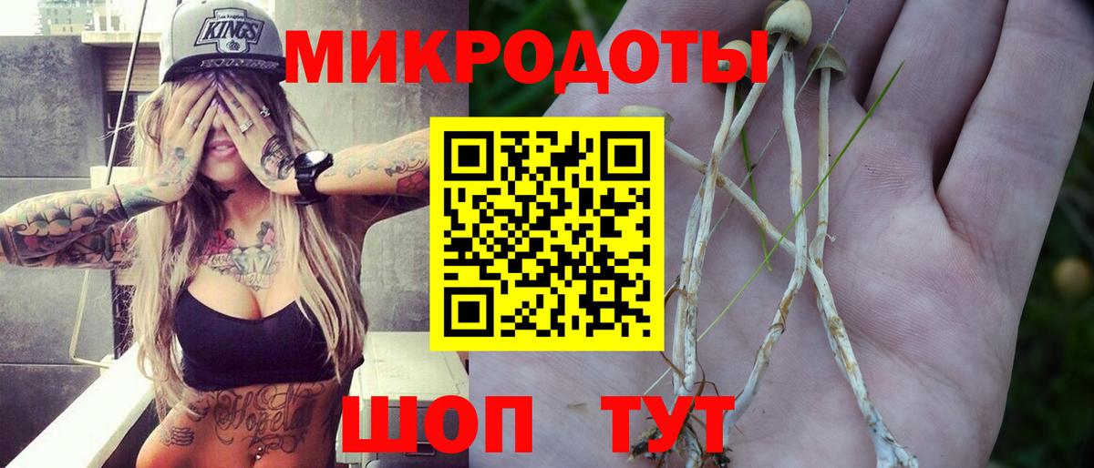 Галлюциногенные грибы мицелий  Псилоцибиновые грибы Psilocybe  Холмск  Вход с VPN 