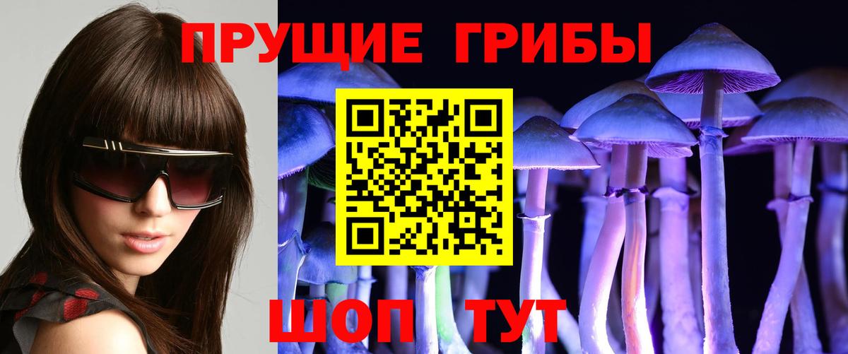 Псилоцибиновые грибы MAGIC MUSHROOMS Холмск